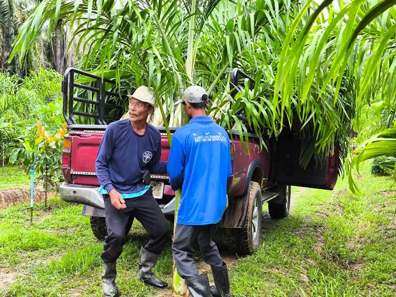 ภาพที่ 5