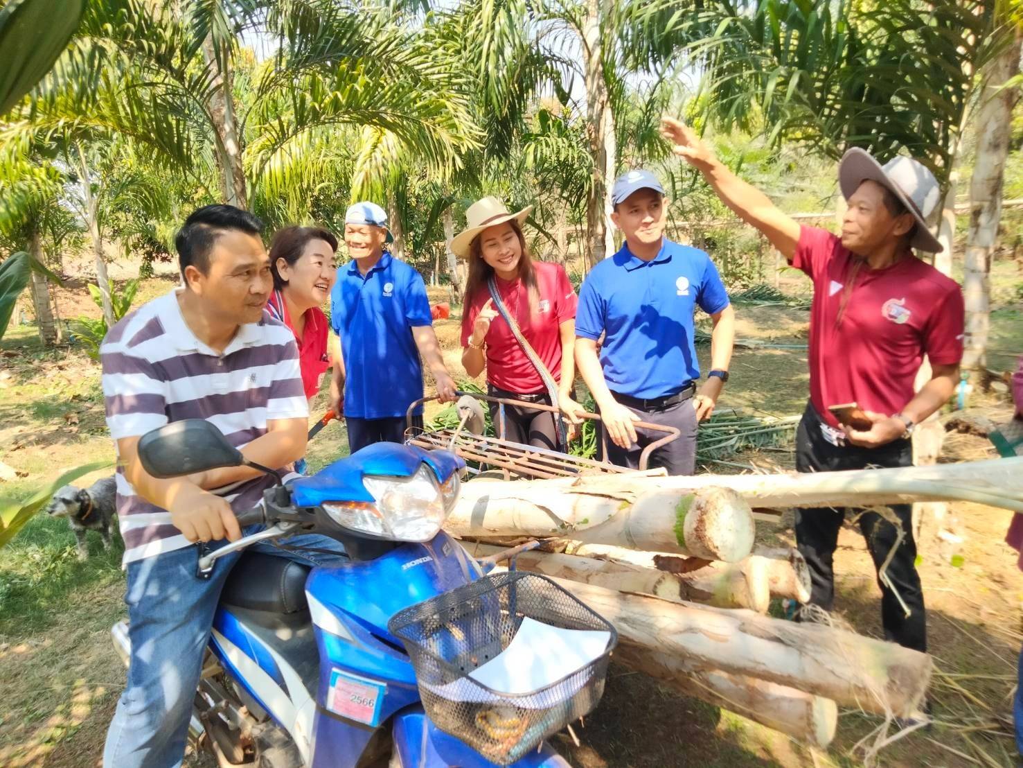 ภาพที่ 1