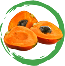 about.parts.fruit.title