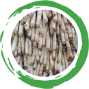 about.parts.root.title